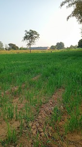Salara