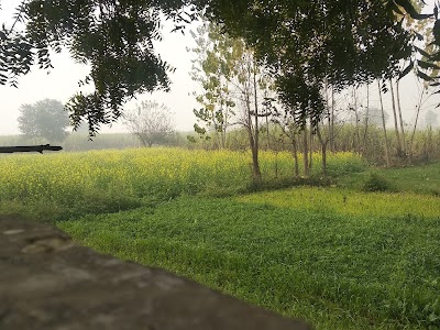 Salimpur Pahargarhi