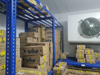 INDIA dairy YH agency
