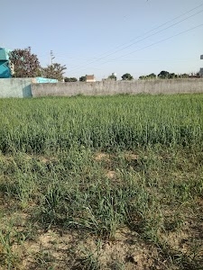 Dalanwala