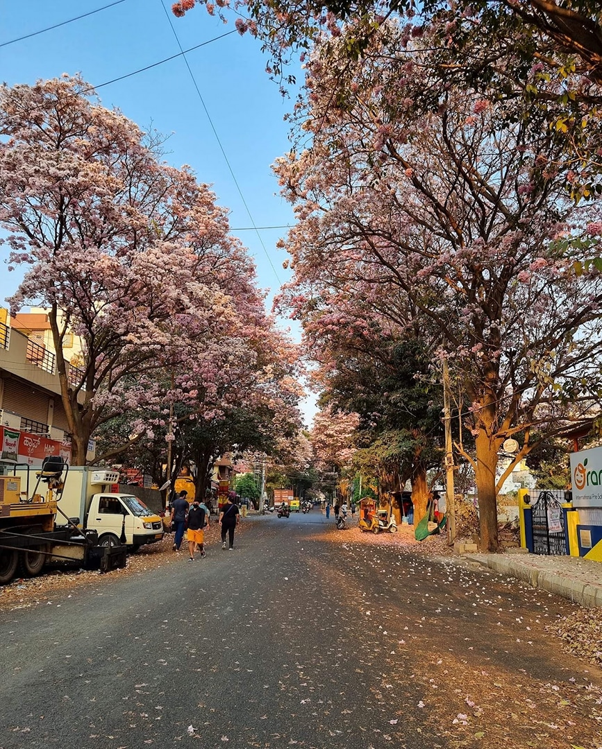 AECS Layout, Marathahalli