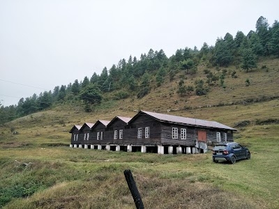 Sangti Valley Sheep Farm