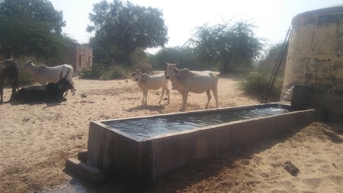 Khadali
