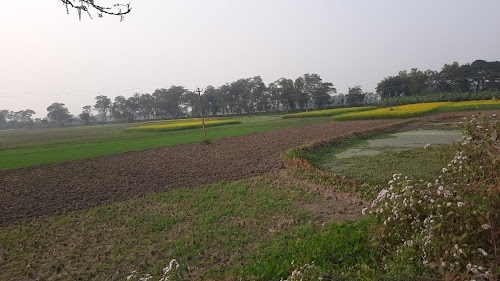 Shikarpur