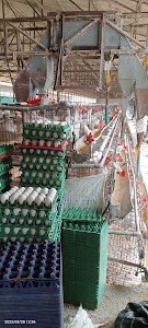Omkar Traders