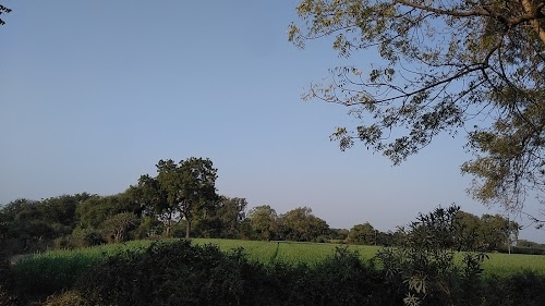 Adarsh Gram Bikhron