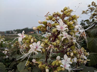 Birbhanpur