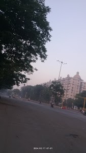 Palitana chokadi