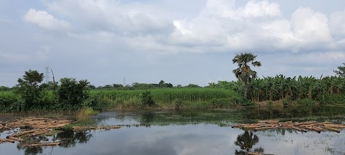 Goas Kalikapur