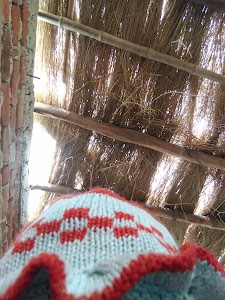 Bengahi