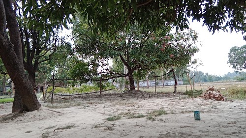 Kabirpur , Primary School