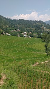 Bhala