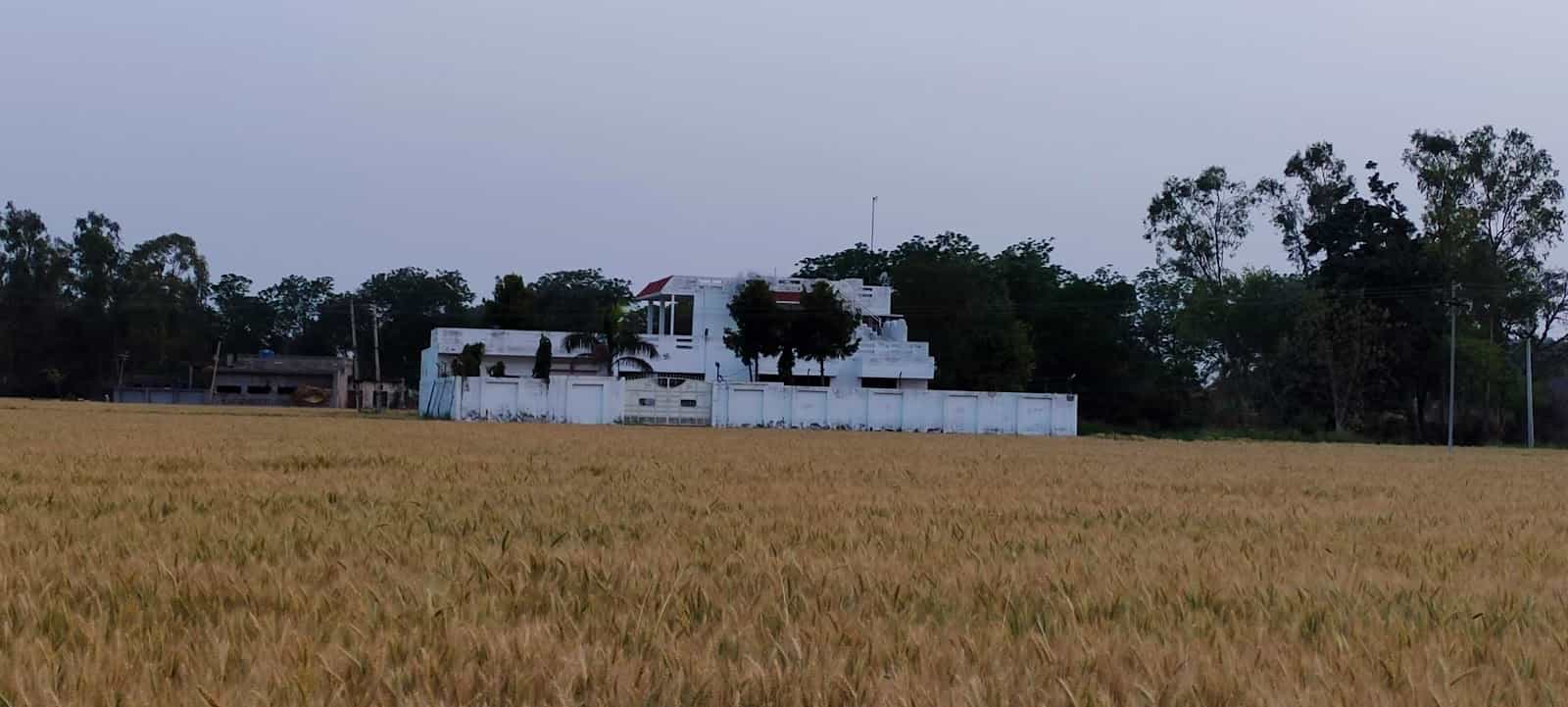 Solanki farm