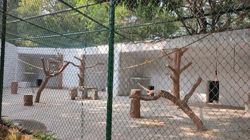 Monkey House