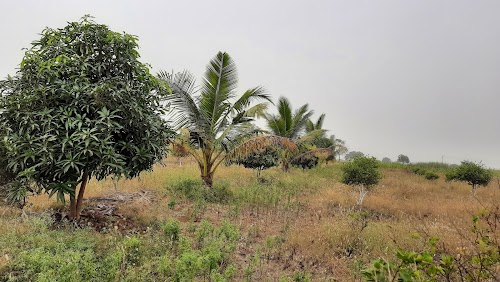 Kurul