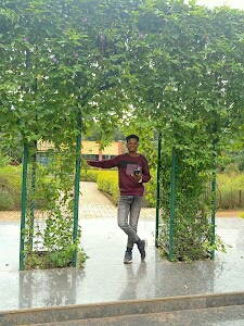 Chandra tiffin center
