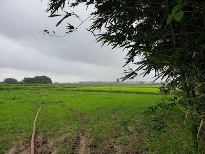 Belhi