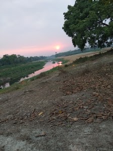 Bharthipur