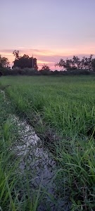 Hajrat pir dargah