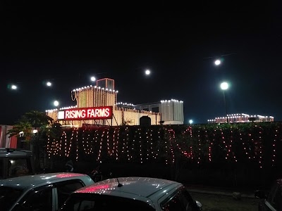 RISING FARMS