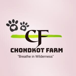 Chondkot farm