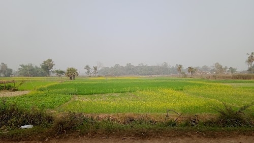 Dhorra
