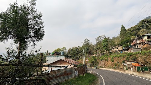 Pedong kashong