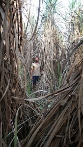 Hariom farm