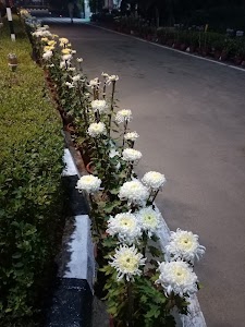 माता जवाहरी(माता शाति देवी)