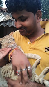 Dr. Surendra Kumar Dwivedi (Animal Health Care)