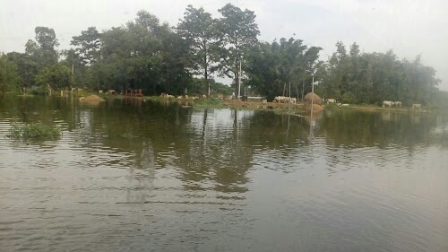 Sharma Hotel