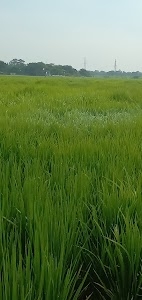 Baba vishwanath garden
