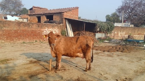 Jagarnathpur Pool