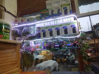 Naini Aquarium Shop