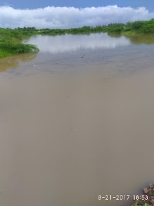 Shepa