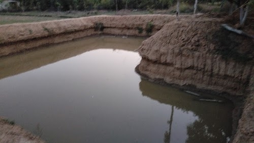 Fish Pond मछली तालाब