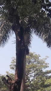 Nityanand Nagar, Ghatkopar West