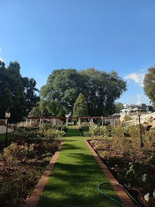 Summer Place