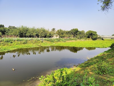 Vatpara eco park