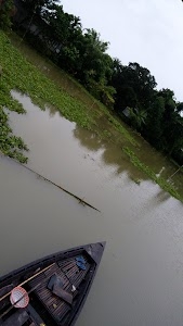 Mandia Gaon