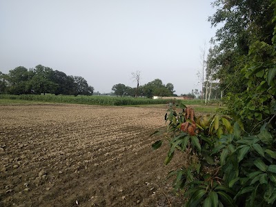 Harraiya