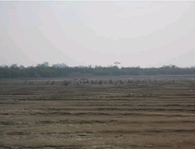 Dehing Kalghar