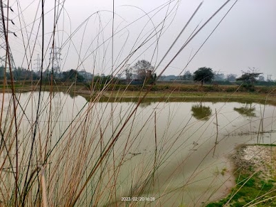 Majarati