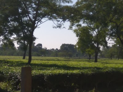 Hatiali Bus Stop