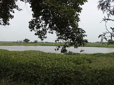 Naya Gaon East
