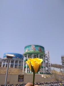 Dorabjee Paradise, Mohammed Wadi