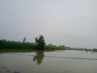 Bhatkol