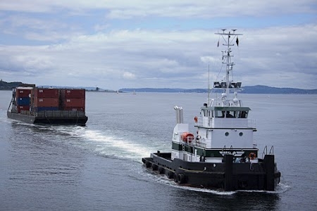 Maritime Support Services Limited