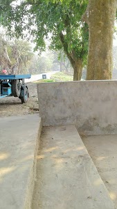 Panikhali