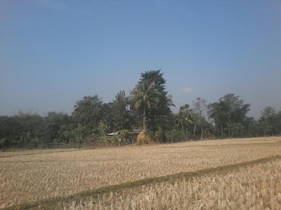 Kalia Dinga